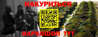 Альфа ПВП Ставрополь