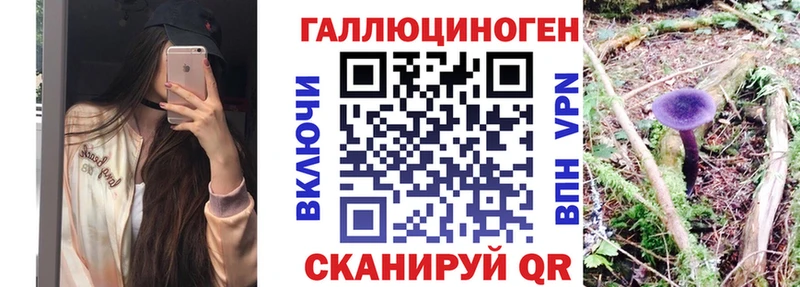 Псилоцибиновые грибы Cubensis  MEGA рабочий сайт  Строитель 