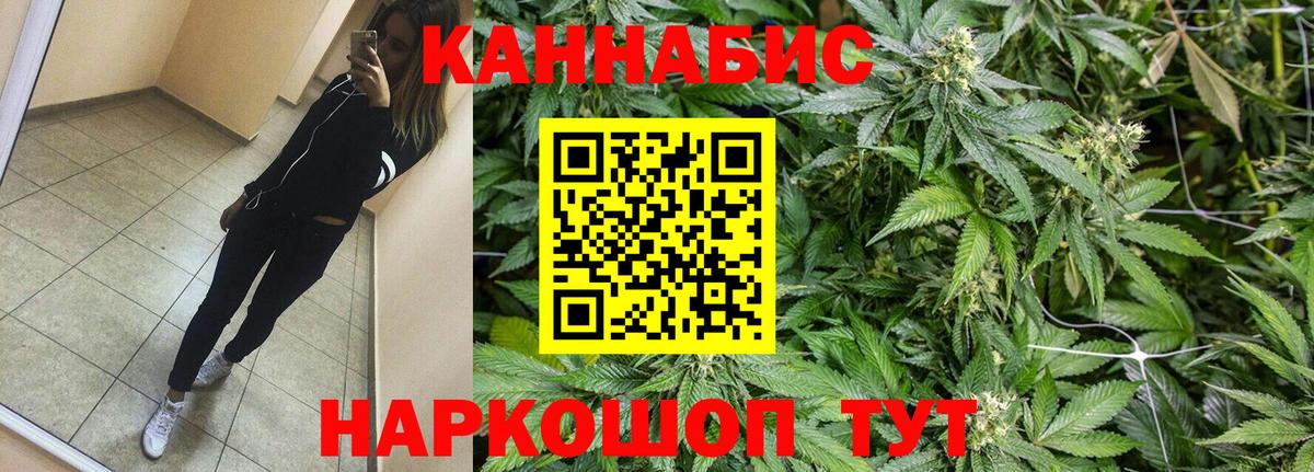 Бошки марихуана марихуана  Шишки марихуана план  Вход с VPN  Строитель  Шишки марихуана планчик 